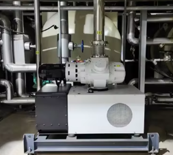 Full Automatic Customized Food Grade Vacuum Lyophilizer with 5 Years Warranty Freeze Dry Machine