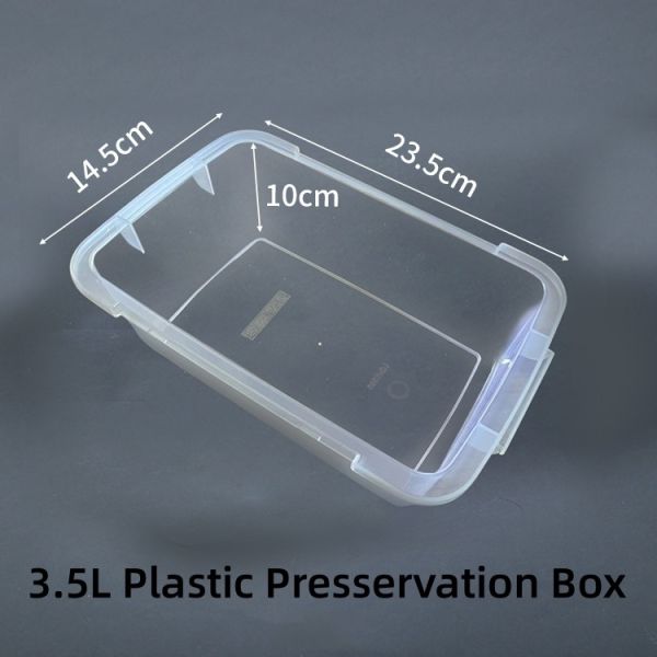 Double Corrugated Paper Cup OEM Plastic Containers Boxes for Refrigerated Storage