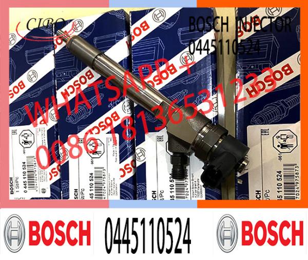 Auto Spare Part 0 445 110 522 0 445 110 523 0 445 110 524 Fuel Injector Diesel 0445110522 0445110523 0445110524