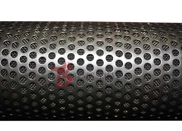 1 Inch - 36 Inch Wye Strainer Screens Stainless Steel SS316 High Performance
