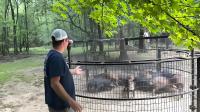 Caixa de armadilhas para animais vivos e humanos 2M Caixa de animais de aço de porta única
