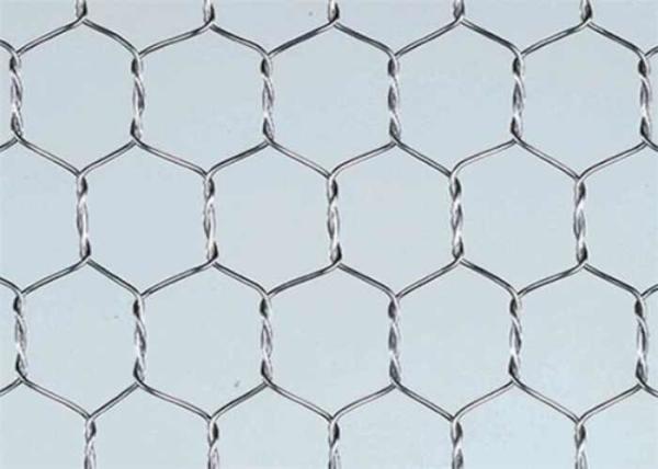 1/2 Inch Chicken Wire Mesh Roll Hardware Cloth Galvanized 19 Gauge For Garden Plant