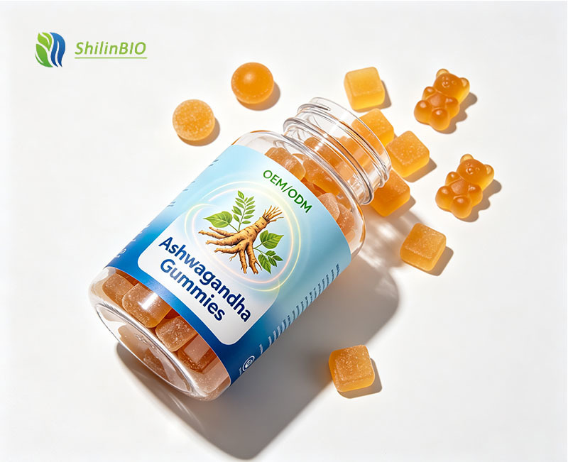 Private Label ISO Certified Ashwagandha Gummies for Adults Daily Immune Digestion Support BERRY BLEND 60 Count Supplement