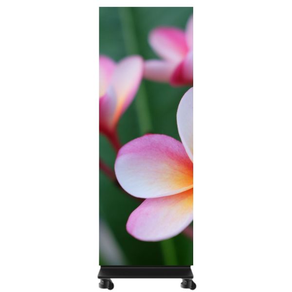 P1.25 LED Poster Display Top-Cob High Protection 1x6 For Training Institutions