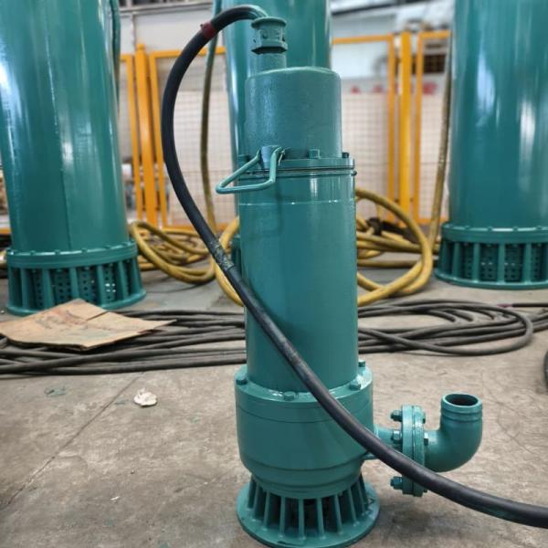 WQ 30Kw 40hp Submersible Waste Water Pump For Aquaculture Fish Farms & Pond Cleaning No Clogging