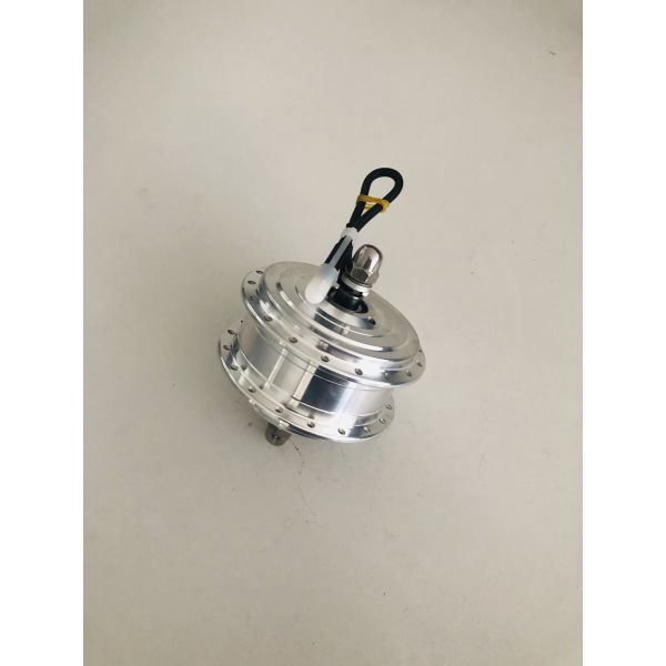 12 Volt 13 Axis 19.5 Dc E Bike Motor Fat Tire Electric Bike Accessories  Ebikes