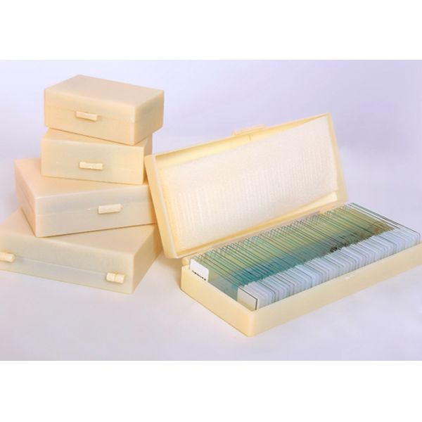Plant Disease Microscope Slide Set For Primary / Middle / High School