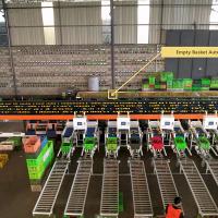 Máquina de triagem de laranja de grande capacidade de 12 toneladas personalizável com até 50 portas de descarga