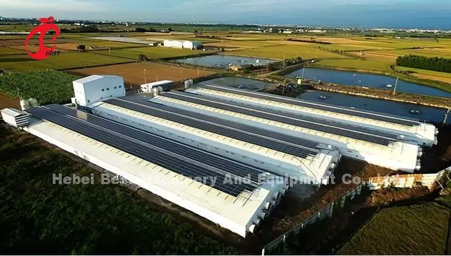 Полноавтоматическая птицеводческая батарейная клеточная система типа H