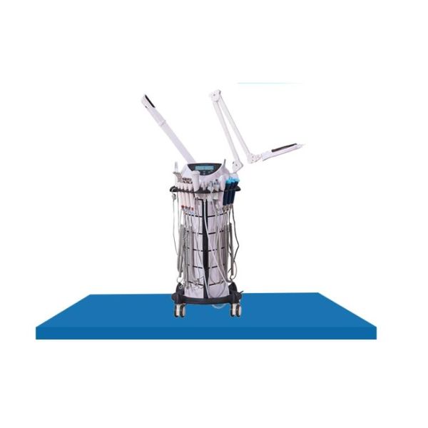 УПРАВЛЕНИЕ ПО САНИТАРНОМУ НАДЗОРУ ЗА КАЧЕСТВОМ ПИЩЕВЫХ ПРОДУКТОВ И МЕДИКАМЕНТОВ 800W 9 в 1 многофункциональной машине заботы кожи