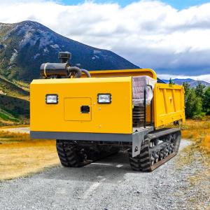 Heavy Duty Diesel Powered Mini Crawler Dumper 3t Capacity For Any Project