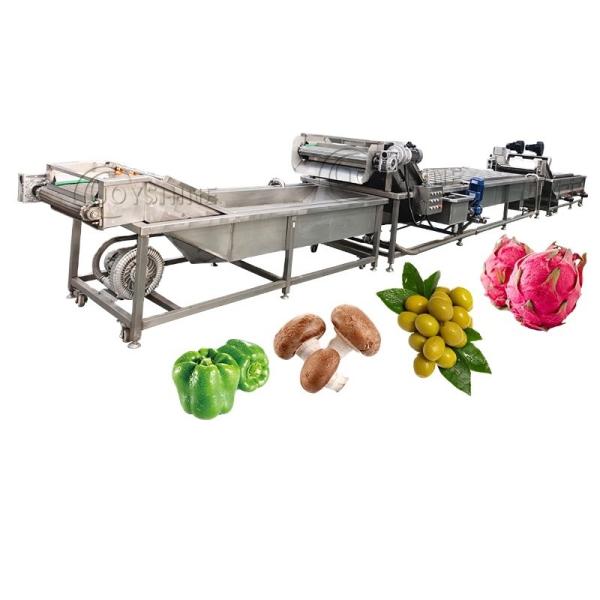 SUS304 Máquina de lavar vegetais de bolhas de aço inoxidável para cenouras Batatas Gengibre Maçãs