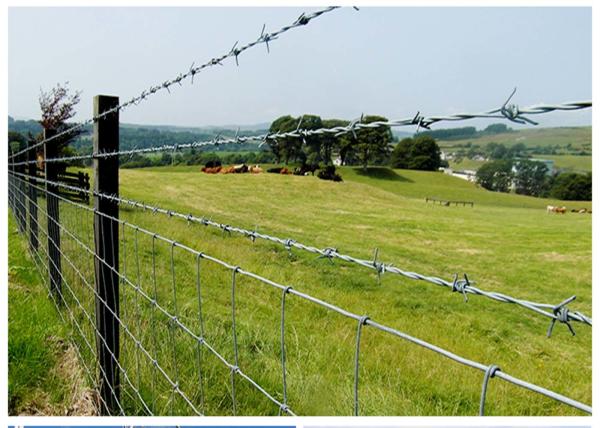 75mm-120mm Barb Spacing Barbed Wire Fence security farm fencing