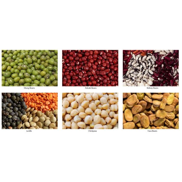 Optical Bean Sorting Machine High Precision Coffee Bean Color Sorter