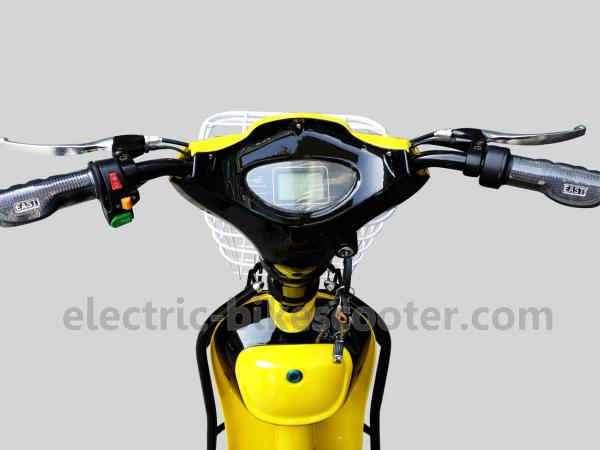 City Pedal Assist Electric Bike 16 Inch Wheel 450W Dual Seat Digital Style