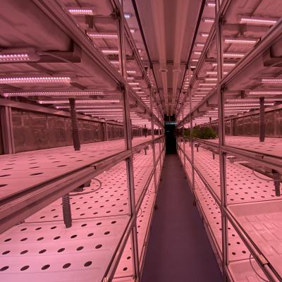 40 ft Container Hydroponic Smart Farming Greenhouse with Plant Growth LED Grow Light