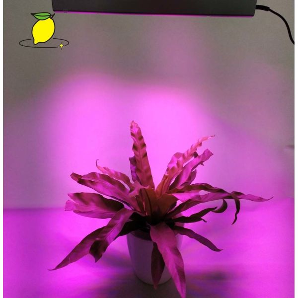 Luz impermeable del crecimiento vegetal de 625nm 265V