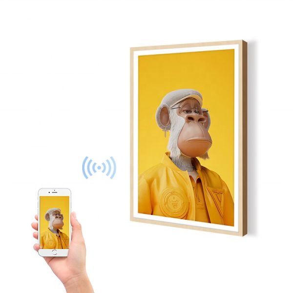 23,6" cadre électronique 1080p 1920X1080 de panneau d'affichage de photo de