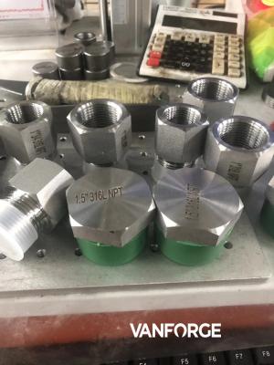 Hexagon Head Male Threaded Pipe Fittings , Stainless Steel Forged Fittings