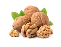 Papeterie en vrac Noix à l'écorce Noix à l'écorce Couleur naturelle Noix XinFu Xinjiang Fruits secs