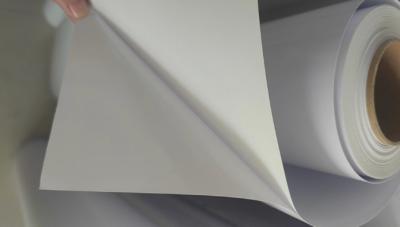 Customized Removable Vinyl Sticker Roll For Rectangle / Circle / Oval Shapes