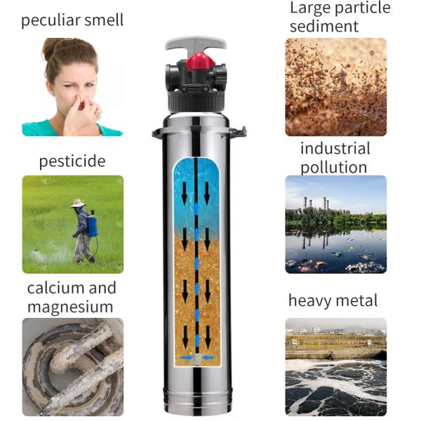 Manual Central Water Softener Resin Filter SS304 Calcium Ion Exchange 1000L/H 2000L/H 3000L/H