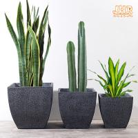 Os potenciômetros grandes do plantador dos plantadores de Clay Pot Planter Set Concrete esquadram plantadores internos Grey Color dos plantadores