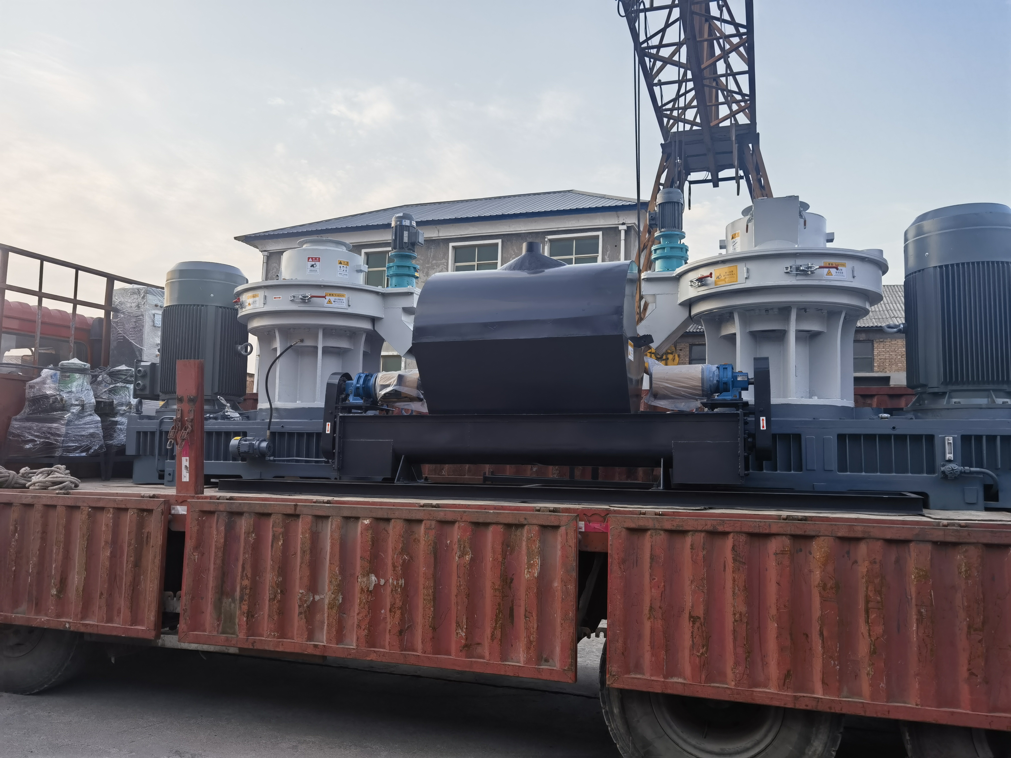 кольцо 2-3tph умирает производственная линия лепешки биомассы машины лепешки вся с CE