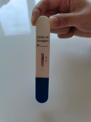 Saliva rápida do cuspe de Kit Antigen Lolly Swab And do teste de Coronavirus