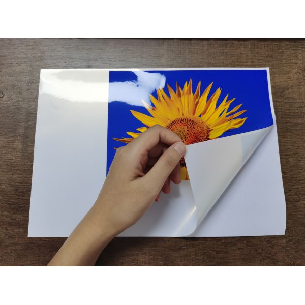 Чернила Refill струйного принтера Фудзи DX100