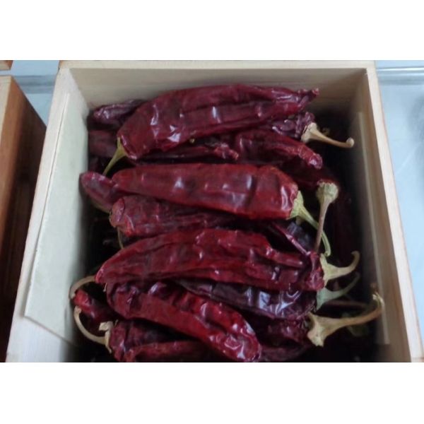 Stemless высушенное Guajillo Чили перчит форму блока Heb без стержня