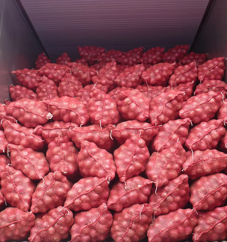 New crop of red shallot onion with low price for export Chinese onion