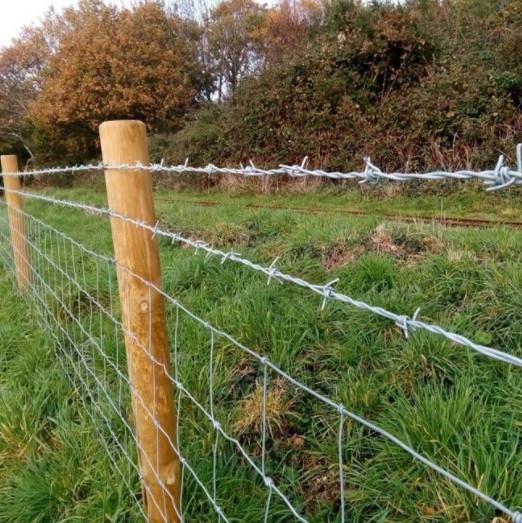15mm-30mm Galvanized Barbed Razor Wire Fence 5-50kg Roll