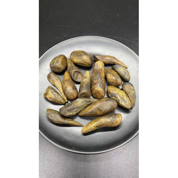 Natural OUD Agarwood raw material ideal for essential oil extraction and high end fragrance manufacturing processes