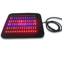 équipement photodynamique de thérapie de machine de thérapie de la lumière 12V près du système infrarouge de soulagement de la douleur de câble de NIR