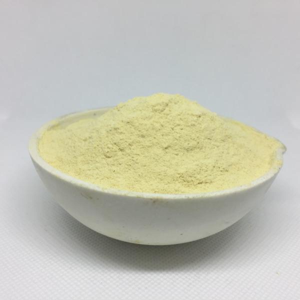 BioVita Total Amino Acid 80% – Precision Engineered Plant Nutrition for Specialty Crops & Organic Export
