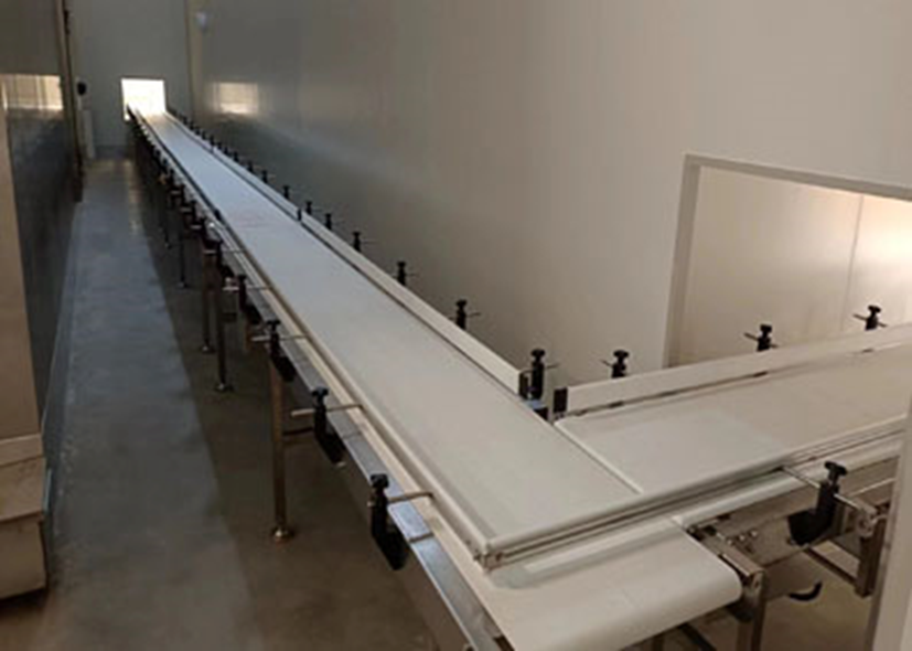 Adjustable Speed Carbon Steel/Stainless Steel Belt Conveyor for Sale