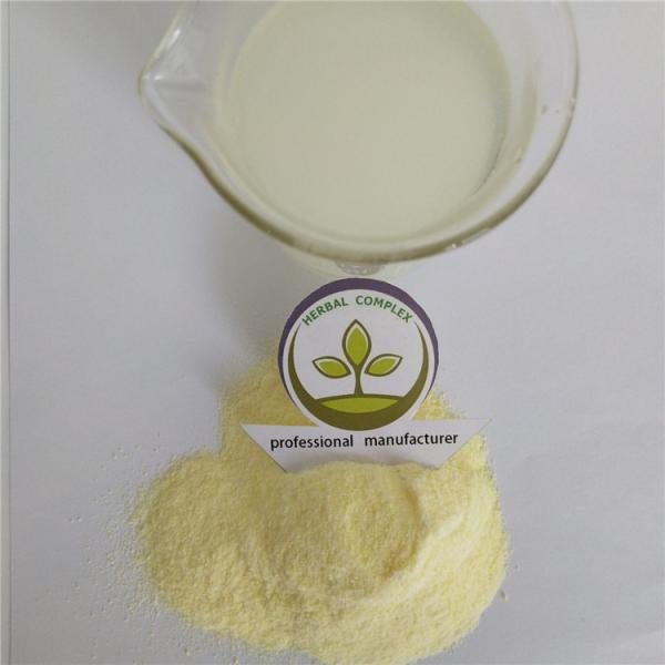 durian fruit powder  buy  best health benefits supplement smell products nutrition