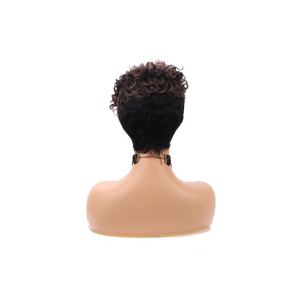 Remy Hair Lace Front Technique Pixie Cut Wig Human Hair Wigs Short Brazilian Grade