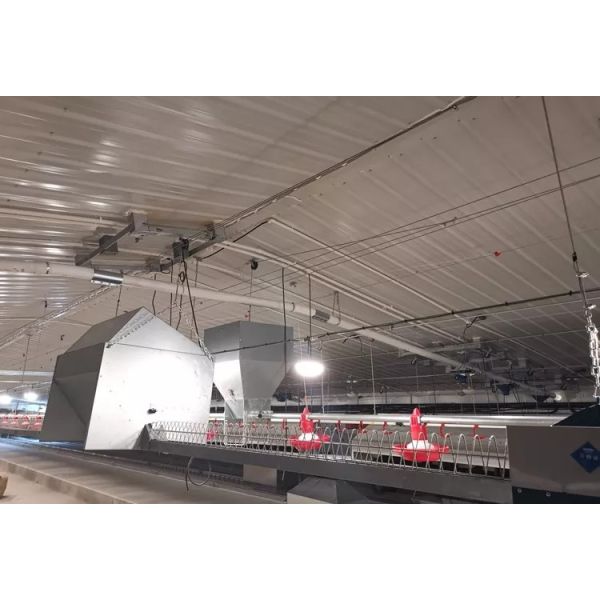 Farming Equipment Poultry Pan Feeding System Automatic Breeder Parent Chicken Drinking