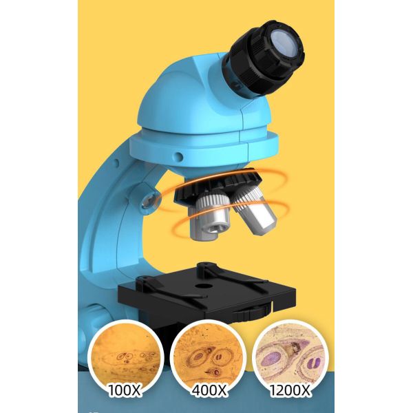 Student Science Experiment Essential Mobile Phone Stand for Biological Microscope