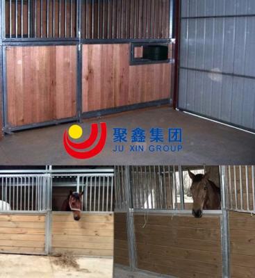 Prefabricated Structural Steel Frame Racecourse Versatile