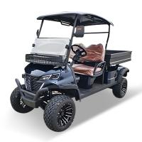2-Seater Off-Road Cargo Truck With Strong Load-Bearing Capacity Tippable Bucket Customizable Color LOGO OEM ODM
