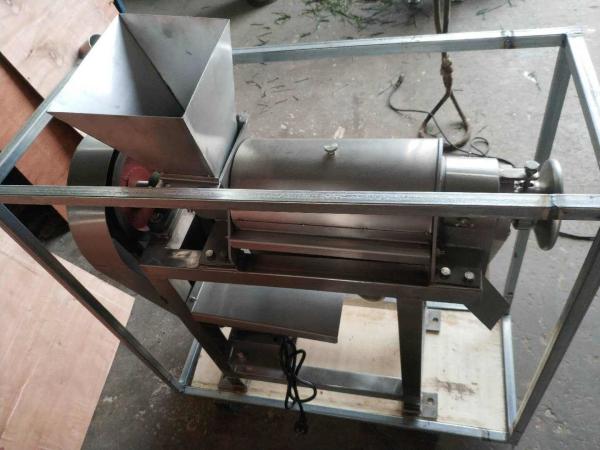 Commercial Home Use Fruit Juicer Machine For Mango Grape Orange Pear Apple With Pulp Function