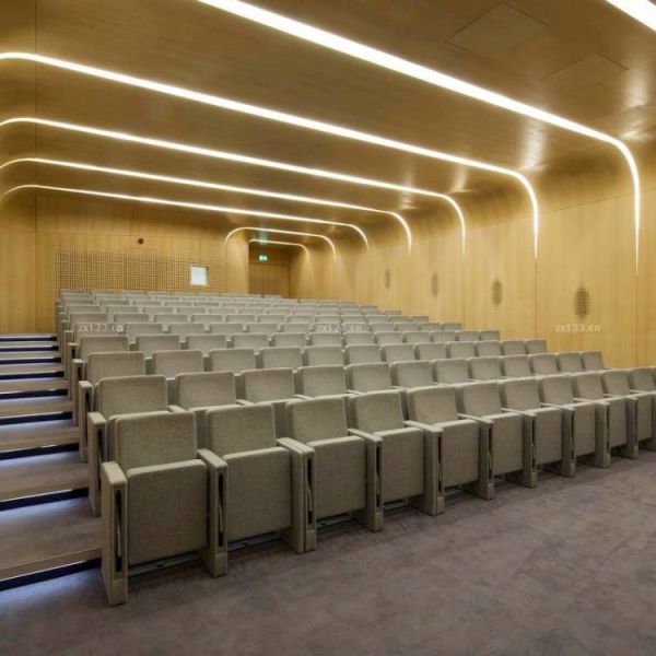 Panneaux acoustiques micro-perforés personnalisés résistant à l'humidité 12 mm