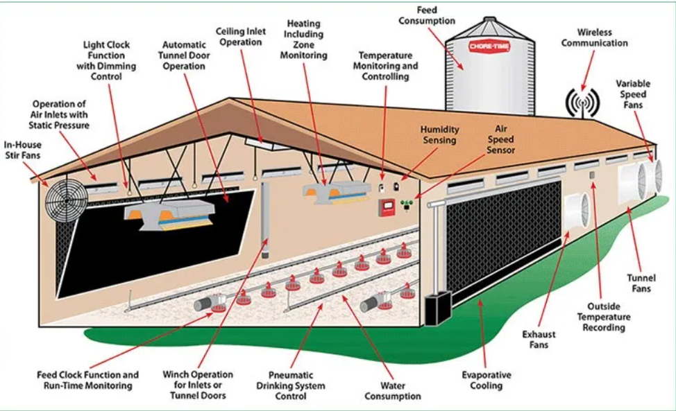 Fast Deployment High-Strength Steel Poultry House with Modular Assembly for Automatic Chicken Farming