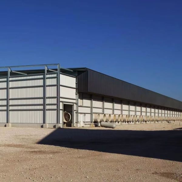 Prefab Cow Shed With EPS Sandwich Panel Walls And Corrugated Steel Sheet Roof Featuring Polyurethane Foam Insulation
