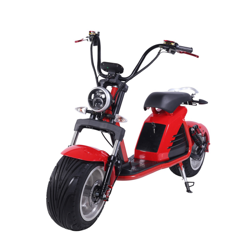 Double-battery Rechargeable Motorcycle with 18*10 inch Wheel Size Upgradeable to 12 inch