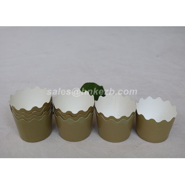 10oz Cold Drink Paper Cups With Plastic Lids For Cold Coffee / Tea / Coca Cola