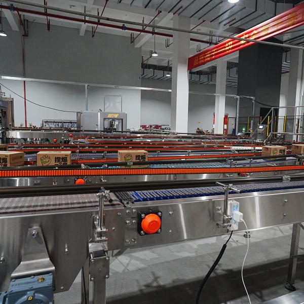 30kw Tic Tac Toe Wrap Around Case Packer Machine de cartonnage 45 boîte/minute